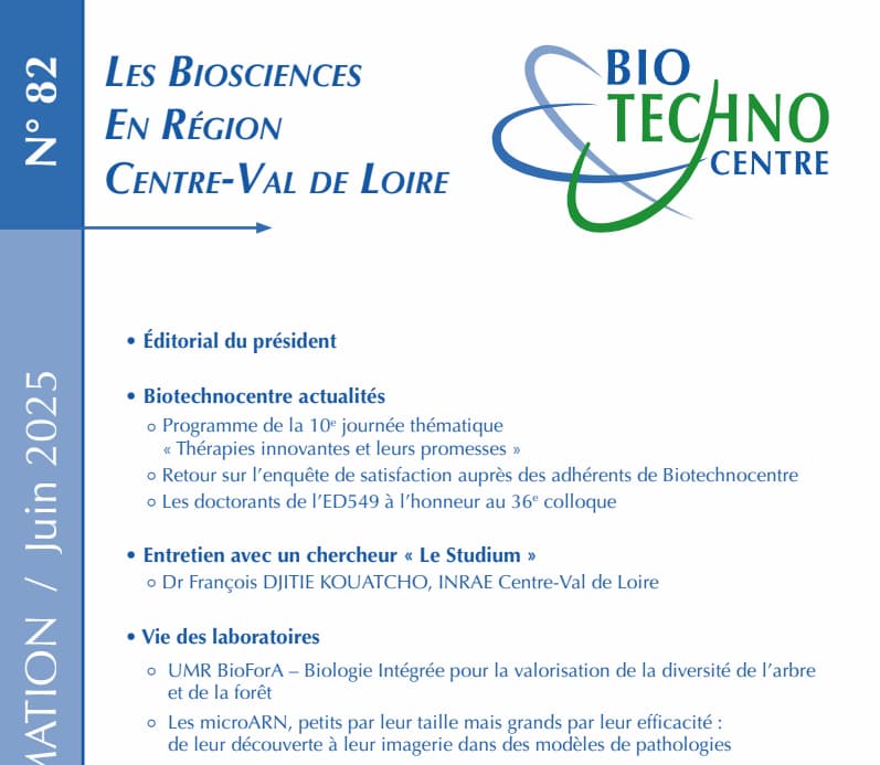 Lettre n°82 – Juin 2025